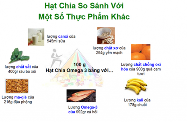 Hàm lượng các chất dinh dưỡng có trong hạt chia - cong dung hat chia